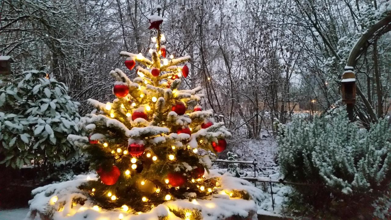 La Renardiere Reichshoffen Екстериор снимка